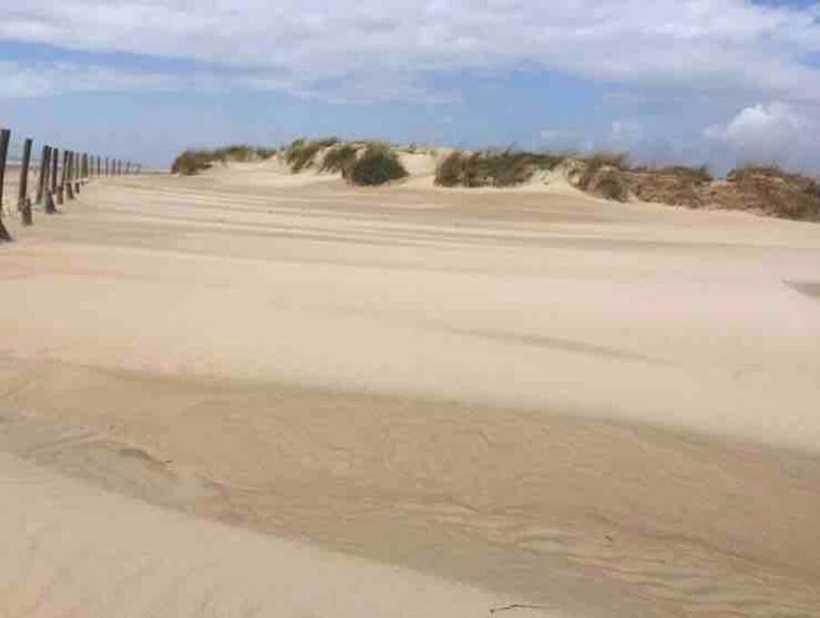 Casa Arena Y Sal En Pleno Casco Antiguo De Vejer Villa Vejer de la Frontera Exteriör bild
